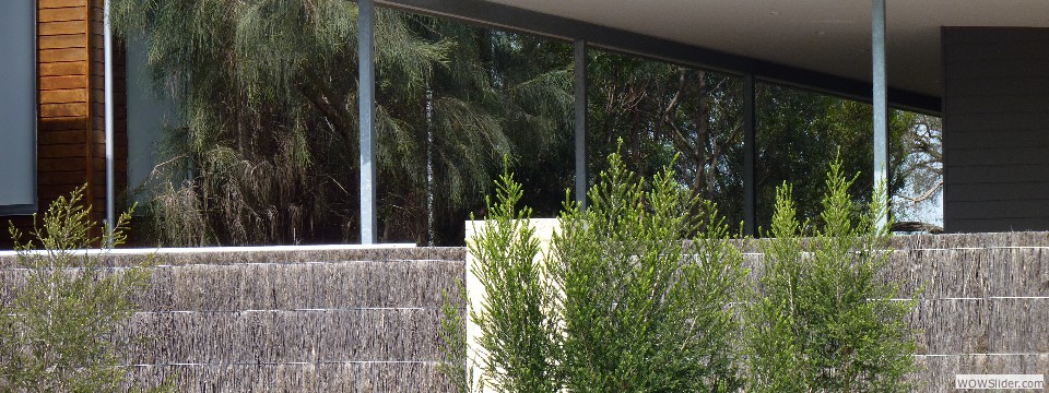 Moonah 2010