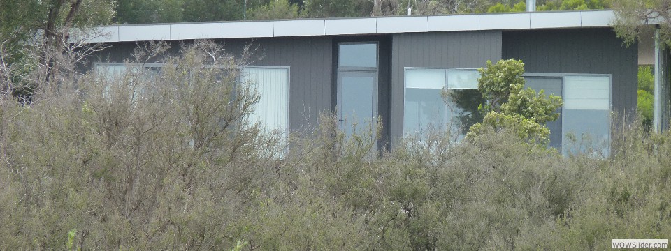 Moonah 2010